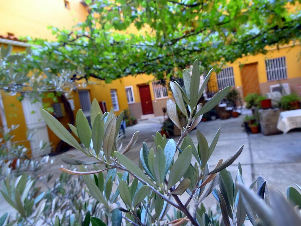 Apartment Olivar Мадрид Номер фото